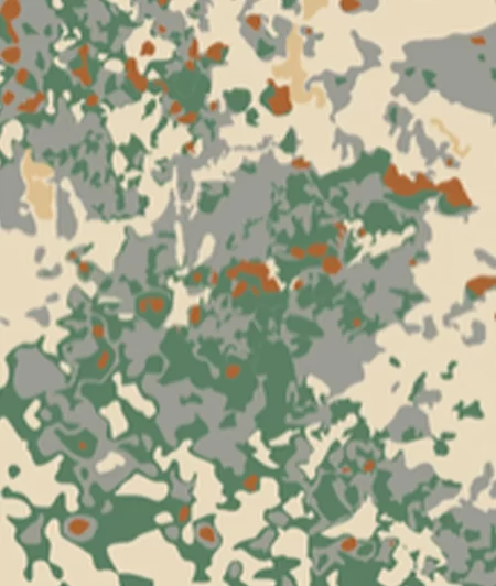 Earth Grid