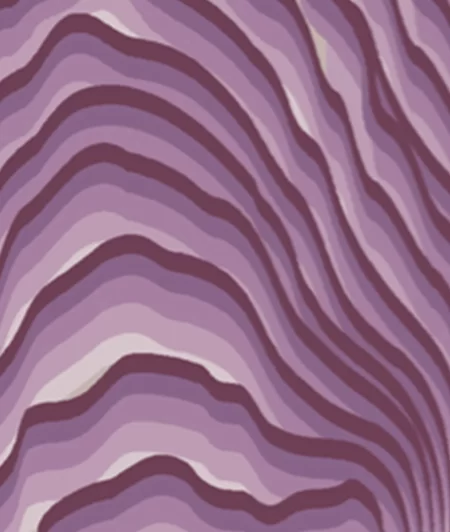 Lavender Drift
