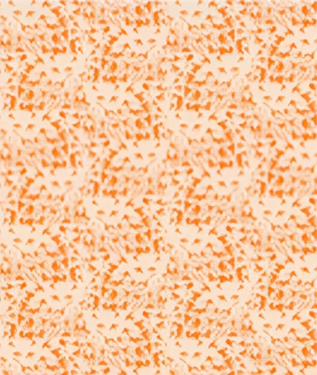 Terracotta Tides